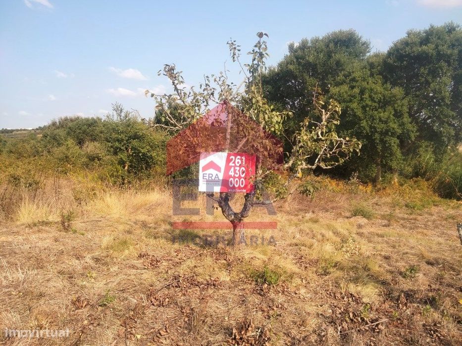 Terreno com 15.000m2