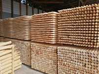 Paliki do Drzewek Fi5x250cm palisada kołki