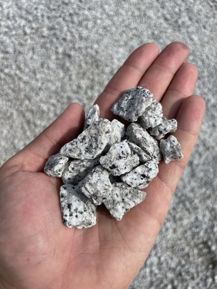 Kamień DALMATYŃCZYK Szary Grys Granitowy 8-16, 16-22 Kamień Ogrodowy