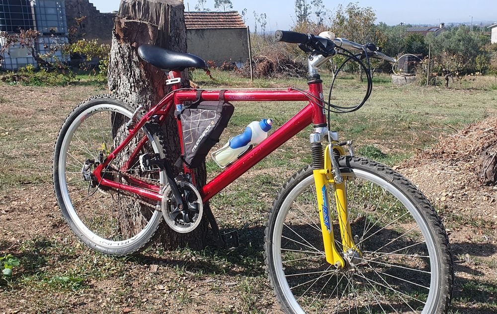 50€ cada bicicleta