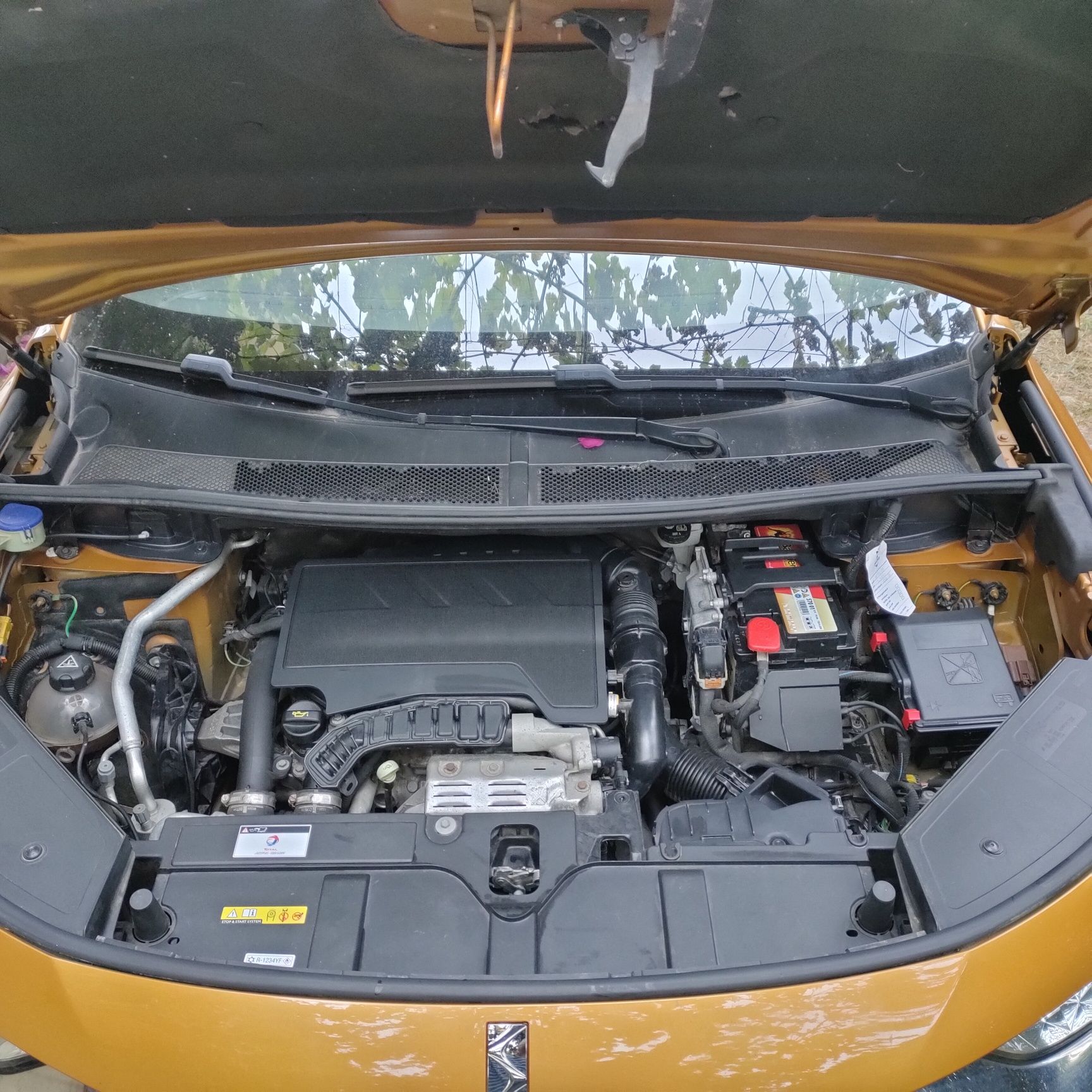 DS7 Crossback Business 131cv (gasolina)