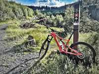 Rower eMTB Specialized