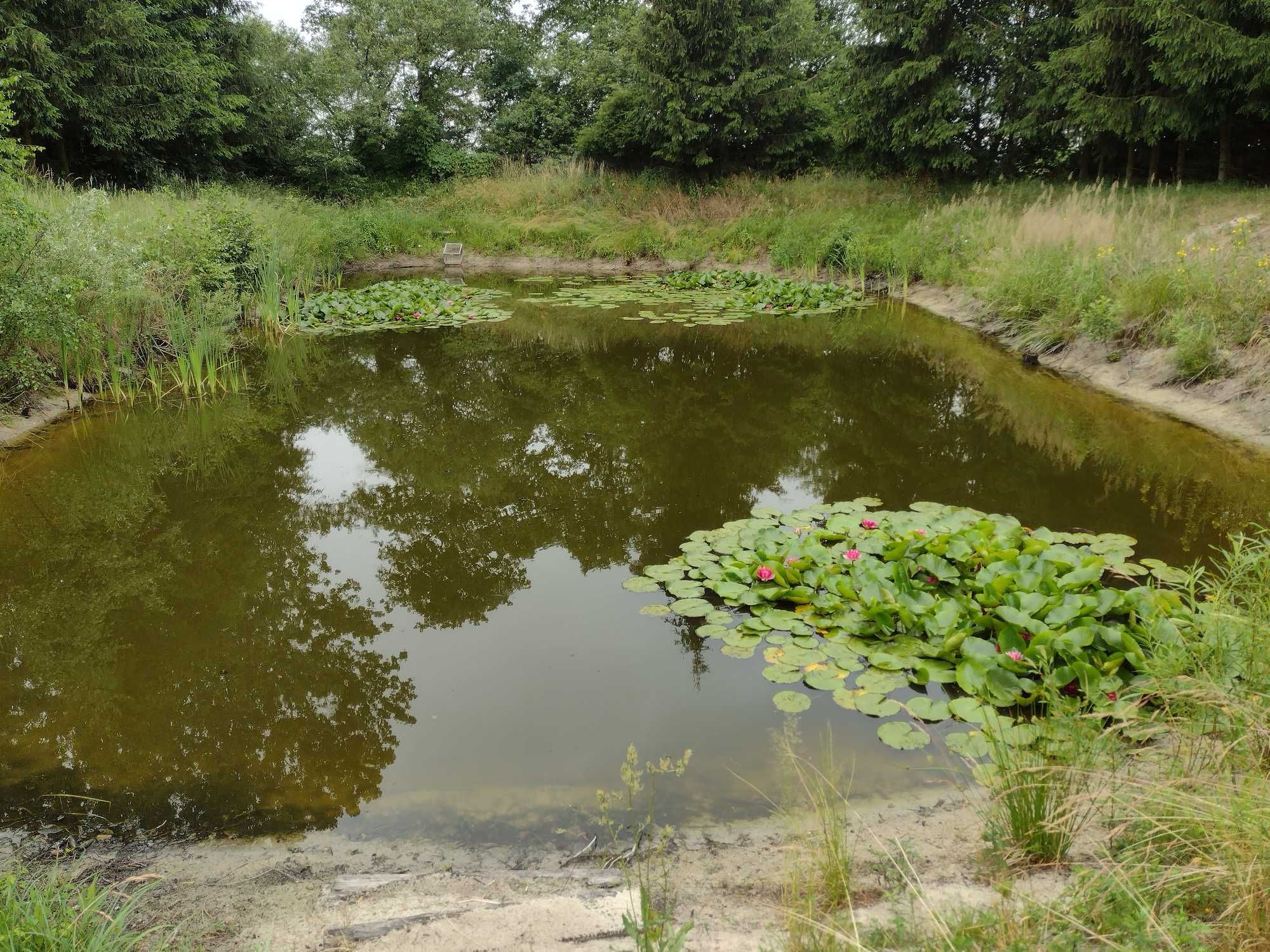 Pokoje "U Gawrysiów" - 300m od Basenów Termalnych w Poddębicach