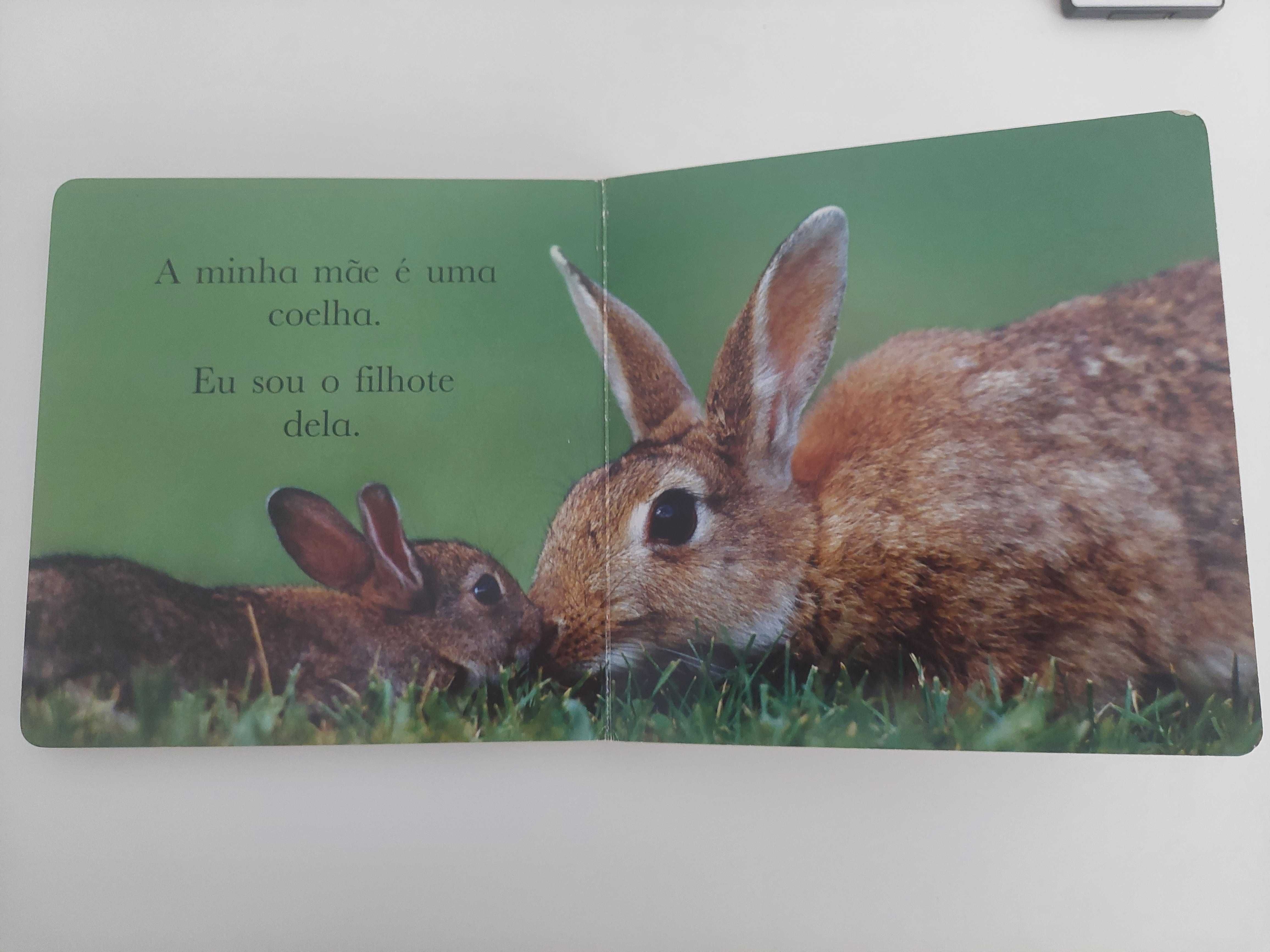 Livros Filhotes de animais
