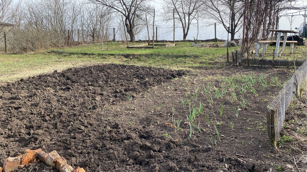 Продаж дачі або обмін