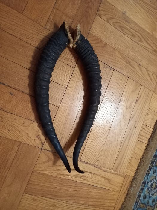 Подарок охотнику