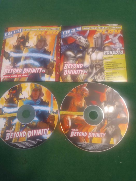 Gra PC - Beyond Divinity