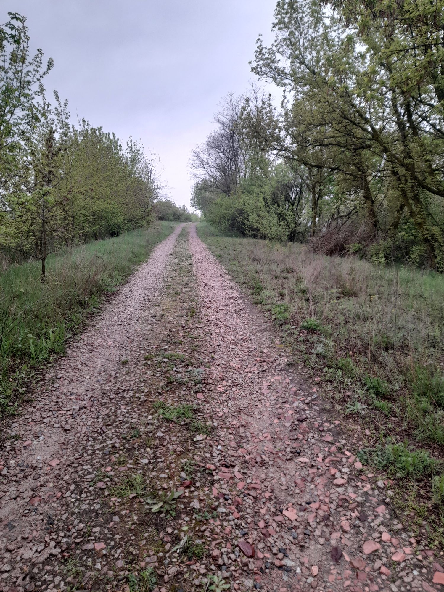 Продам земельну ділянку під забудову