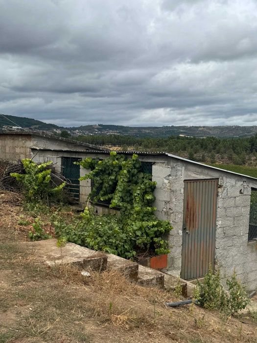 Vendo Quintas em Alijó e Pegarinhos
