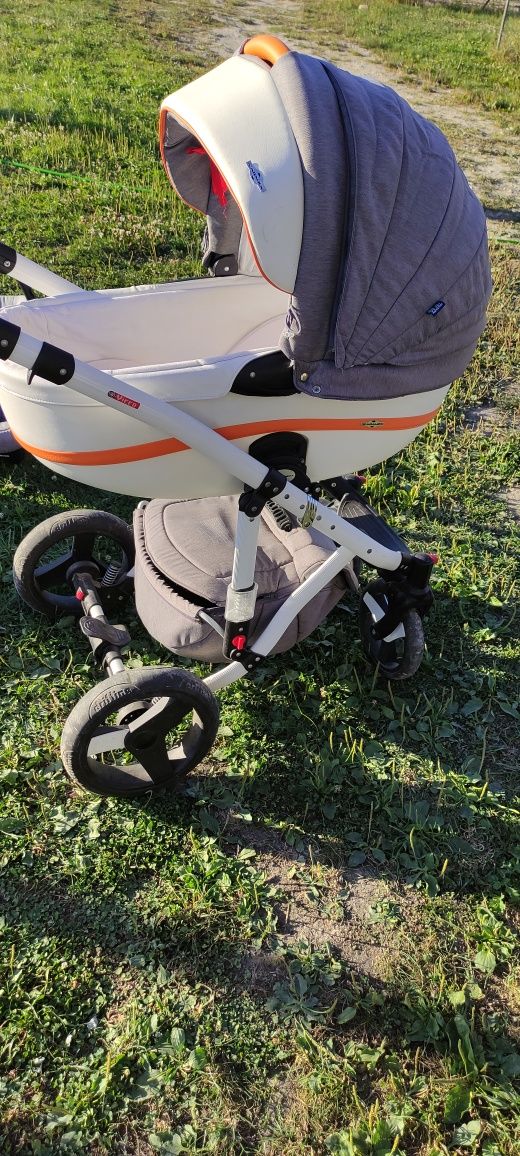 Adamex vicco kolor  r6