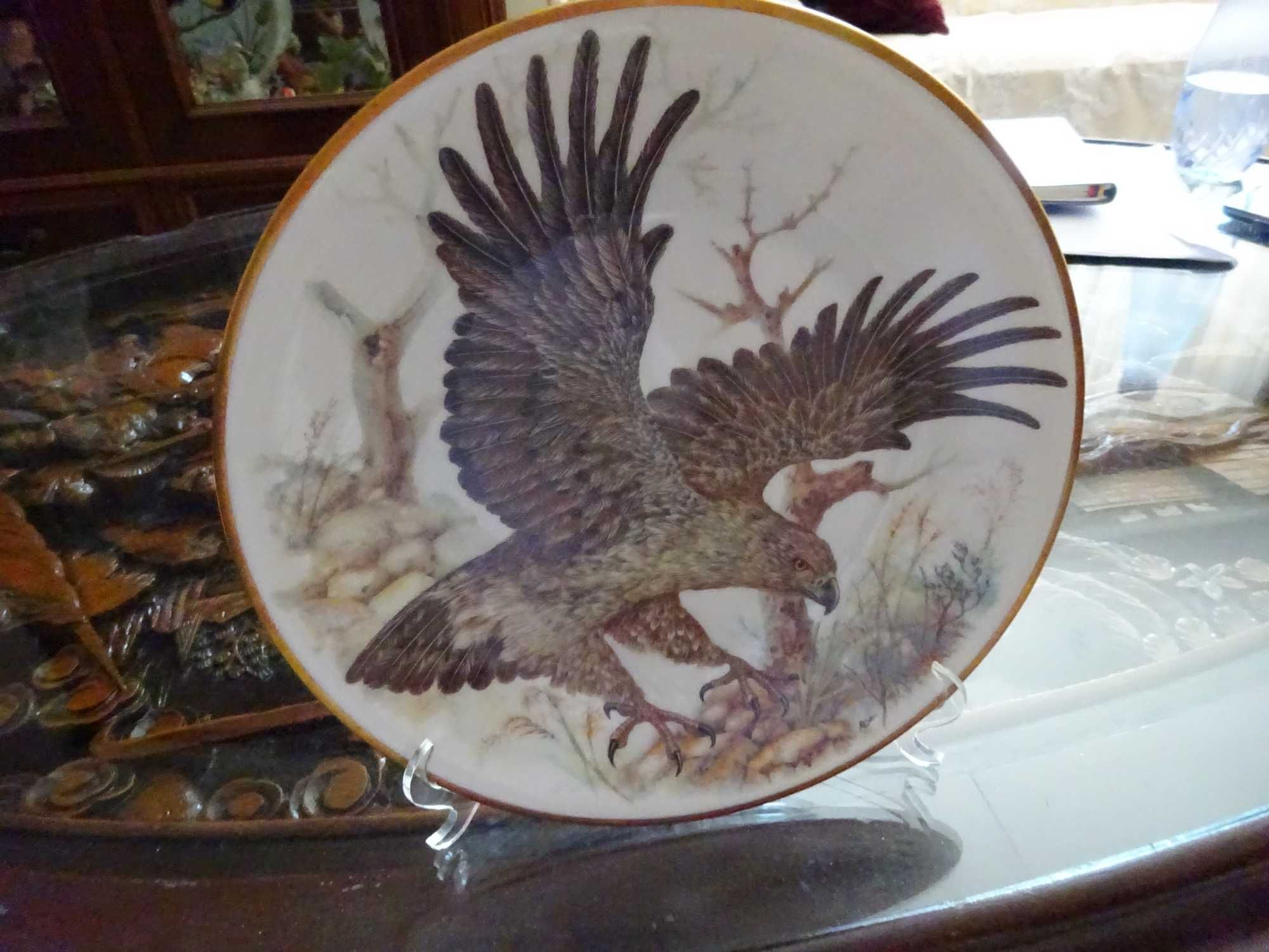 Pratos porcelana Aves Exóticas