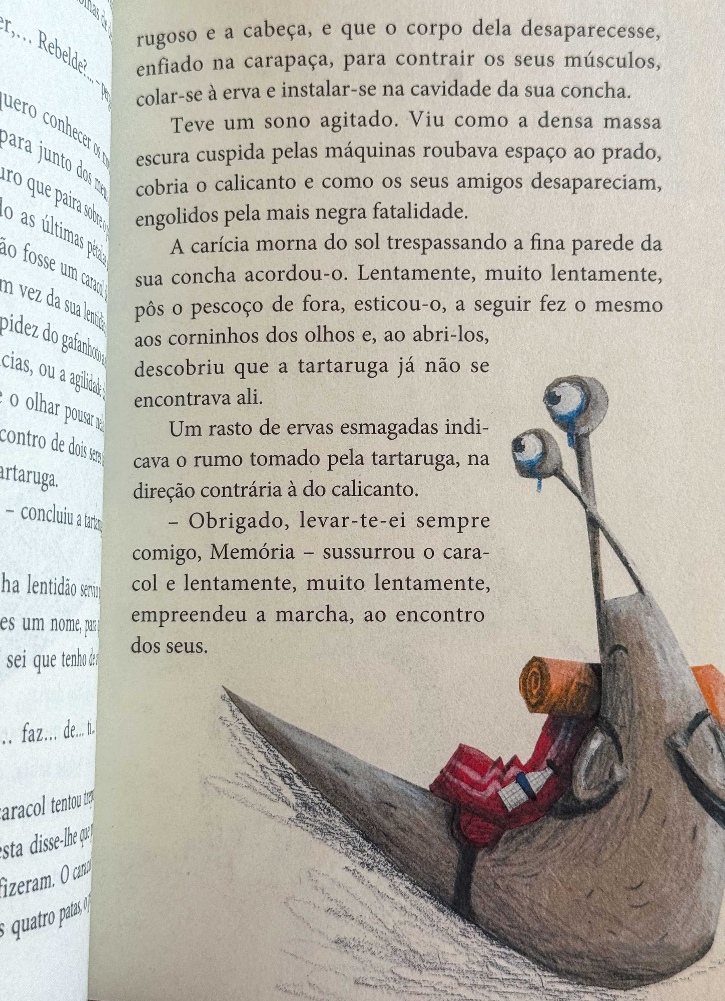 História de um caracol que descobriu a importância da lentidão