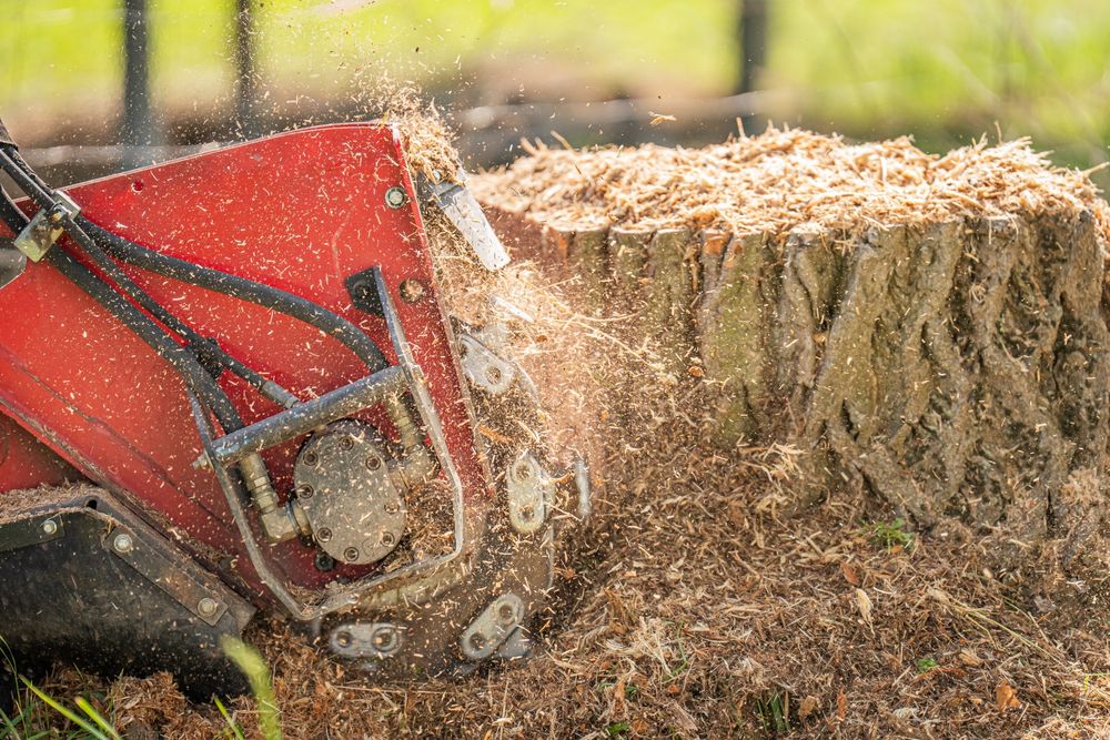 Wycinka drzew Czyszczenie działek Usługi rębakiem