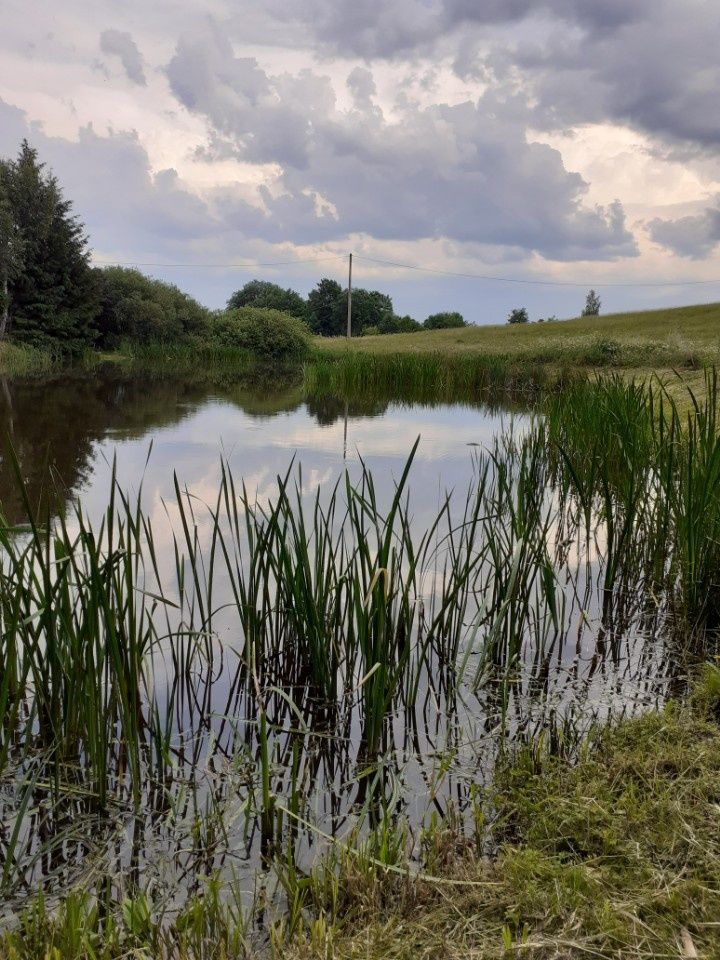 Wędkowanie przydomowy staw
