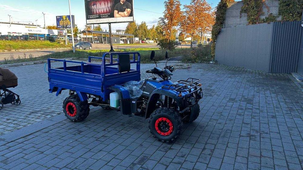 Квадроцикл FORTE ATV 300BS-T