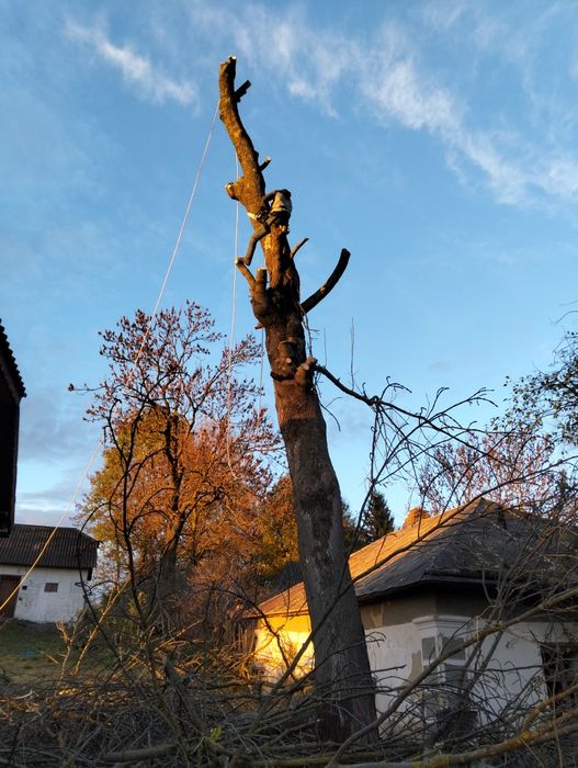 Зрізання дерев будь-якої складності!