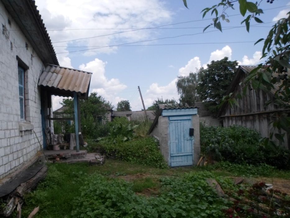 Будинок Чернігівська обл. с. Виблі.