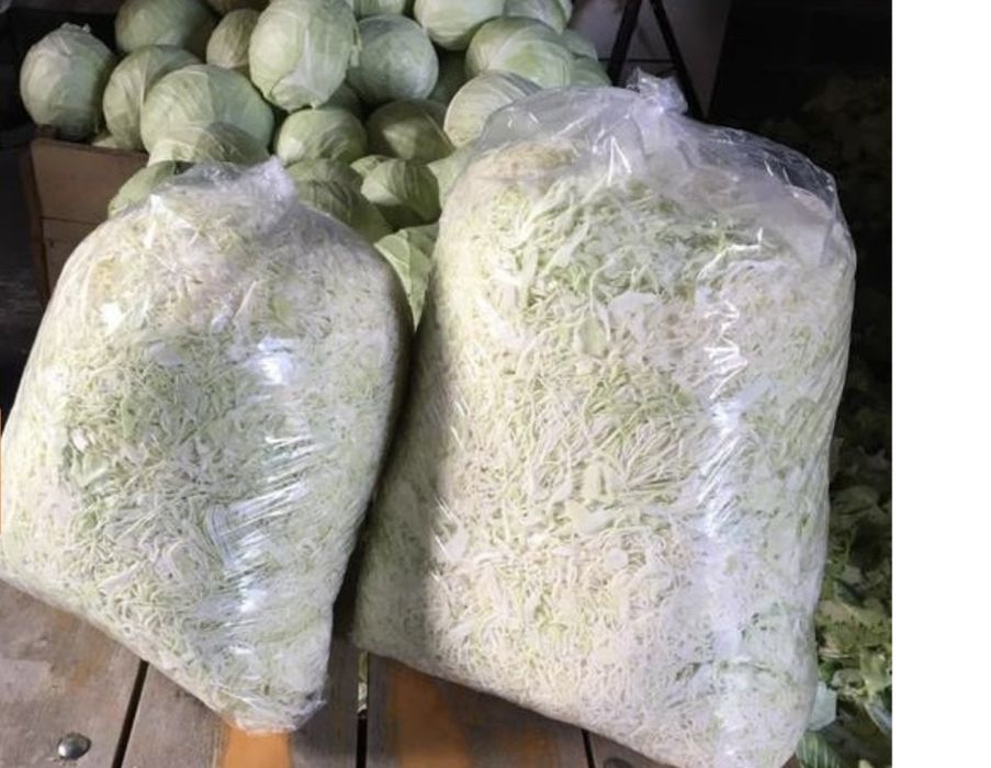 Świeża kapusta szatkowana