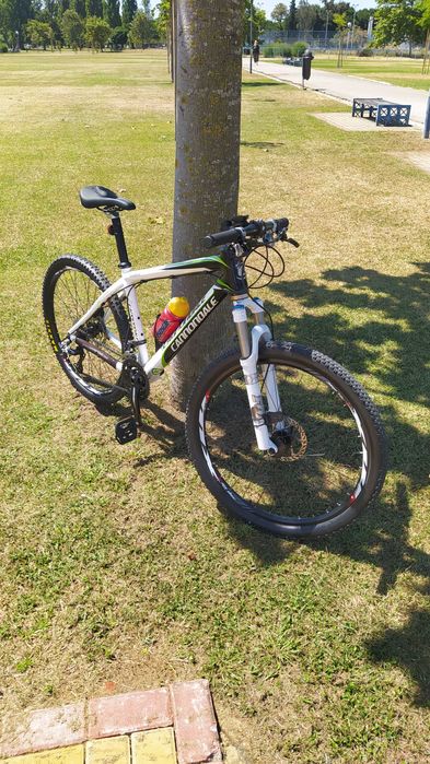 Bike btt cannondale carbono