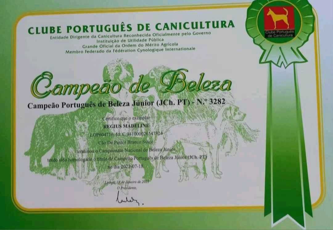 Pastor Branco Suíço