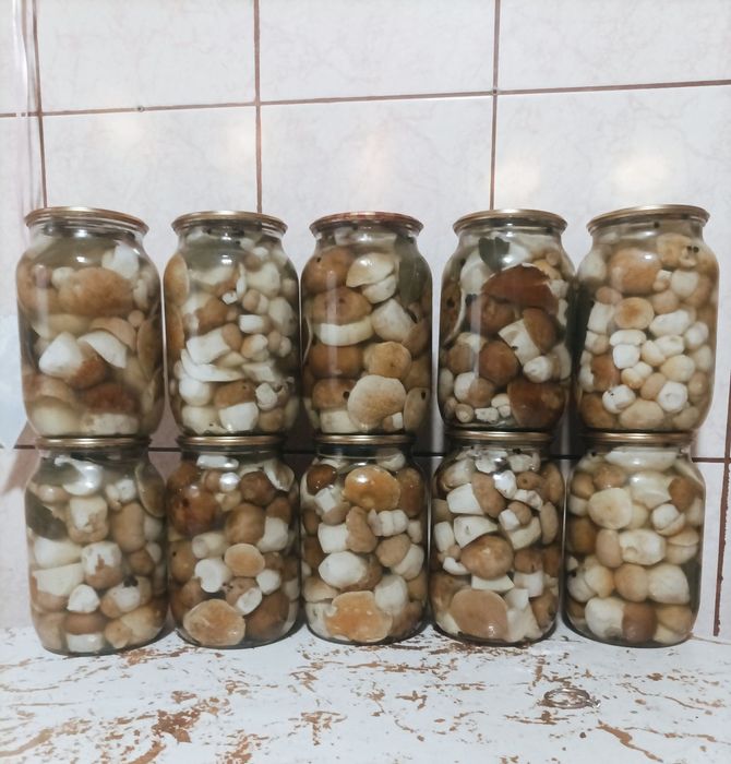 Білі гриби мариновані