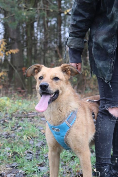 Tokyo wulkan pozytywnej energii szuka najlepszego domu