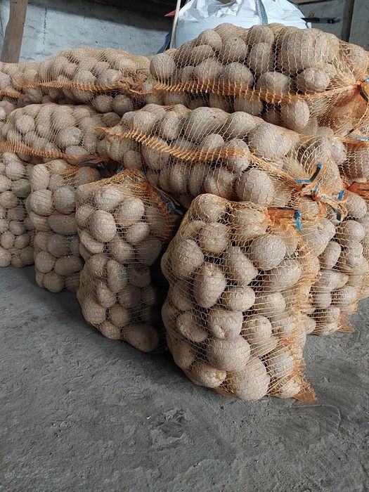 Ziemniaki Michalina 15kg