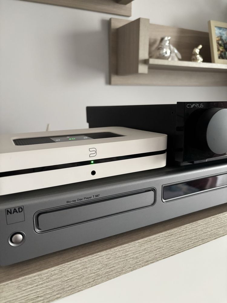 Bluesound Node 2i