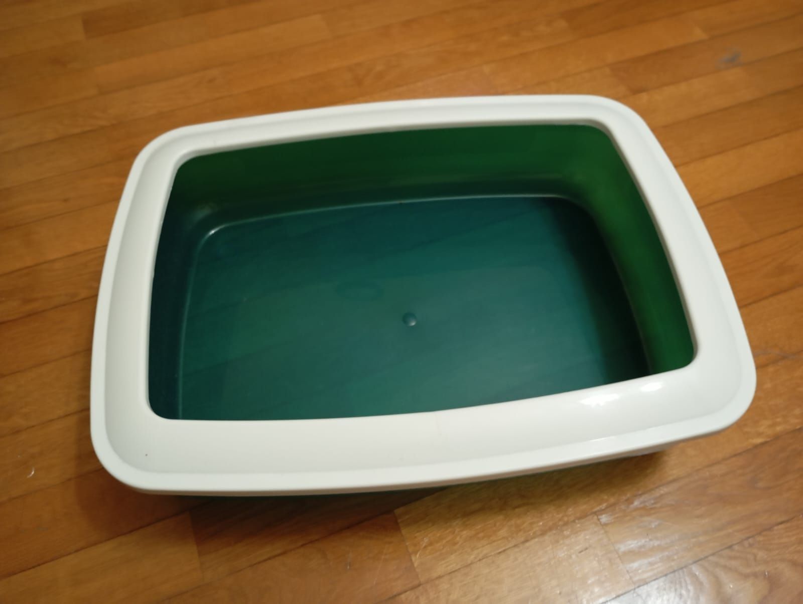 Caixa de areia para gato