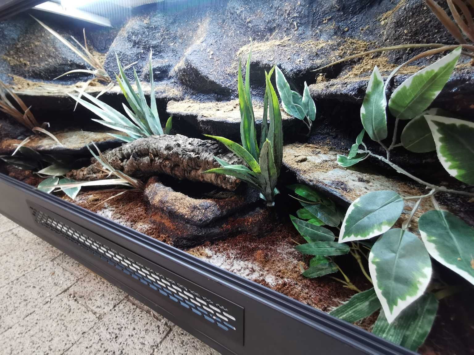 Terrarium dla węża 100/50/50 na zamówienie