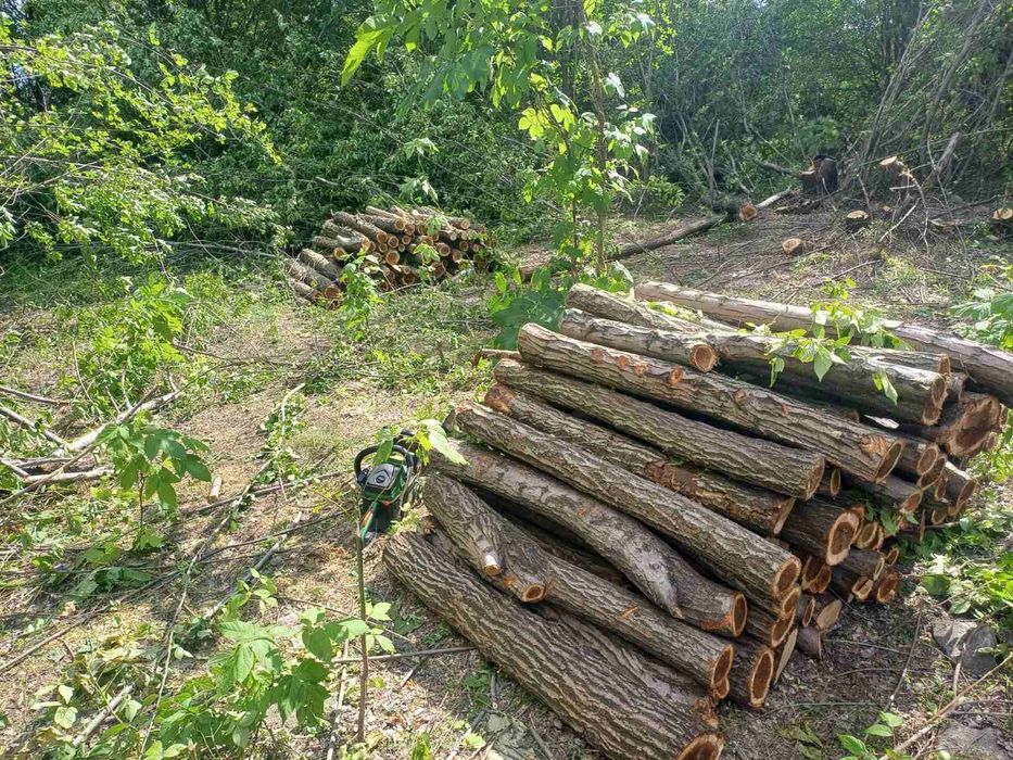 Дроблёная ветка, дрова, щепа, метровка.