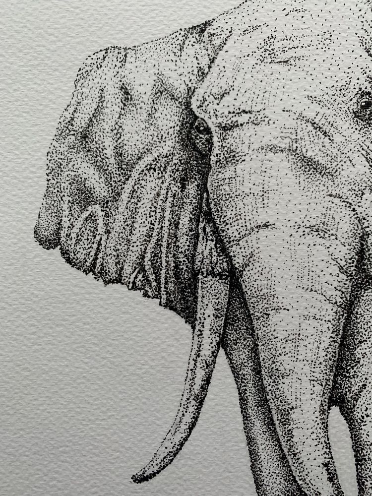 Grafika piórko atrament rękodzieło rysunek 30 x 40