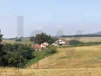 Excelente propriedade com 47,5 ha a 15 minutos de Alenquer
