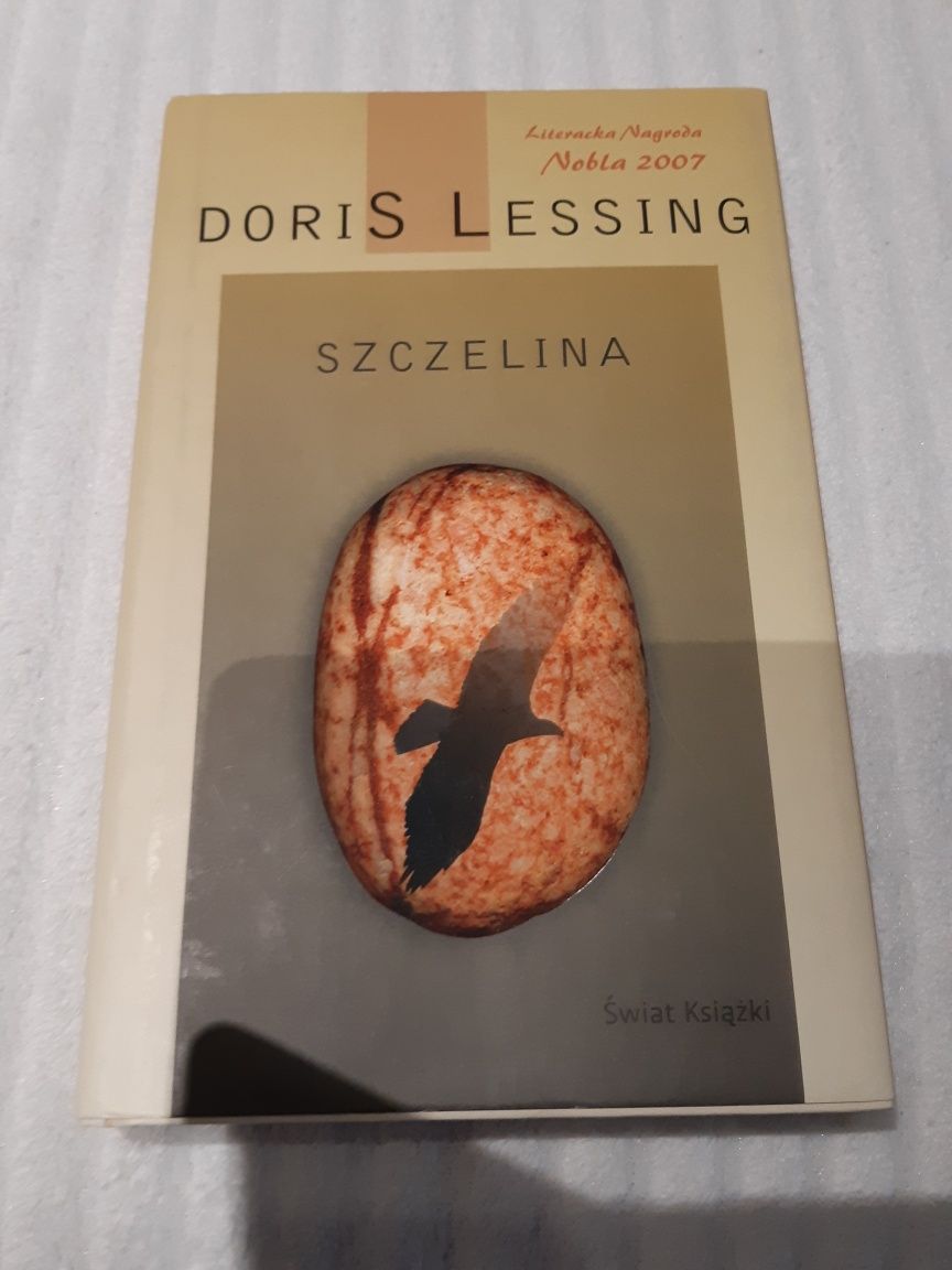 Szczelina  Doris Lessing