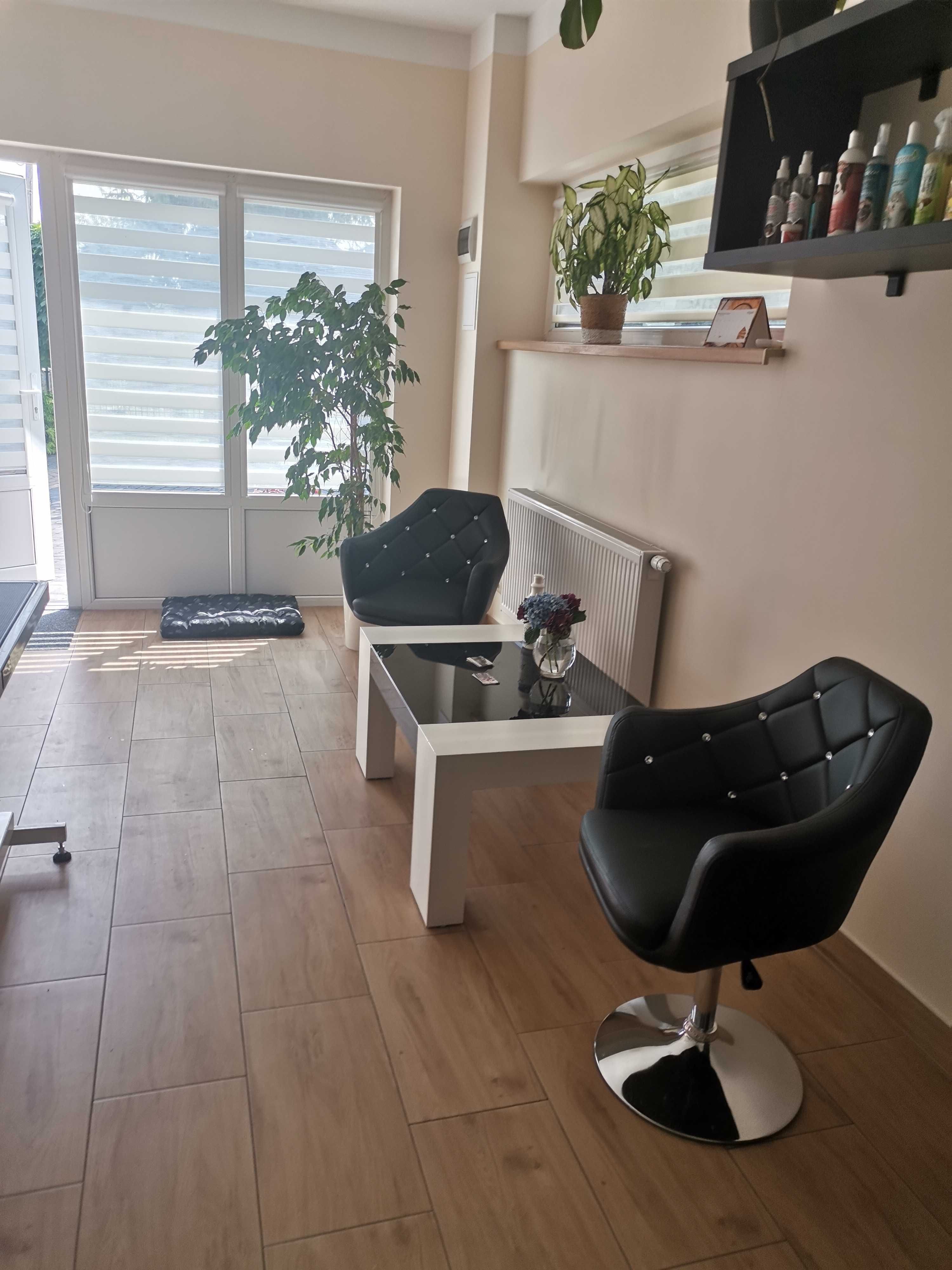 Strzyżenie psów, Psi fryzjer - salon pielegnacji psów "Adel"