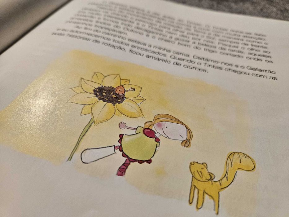 Livro “História de Muitas Cores” Rosa Lobato de Faria 7-10 anos