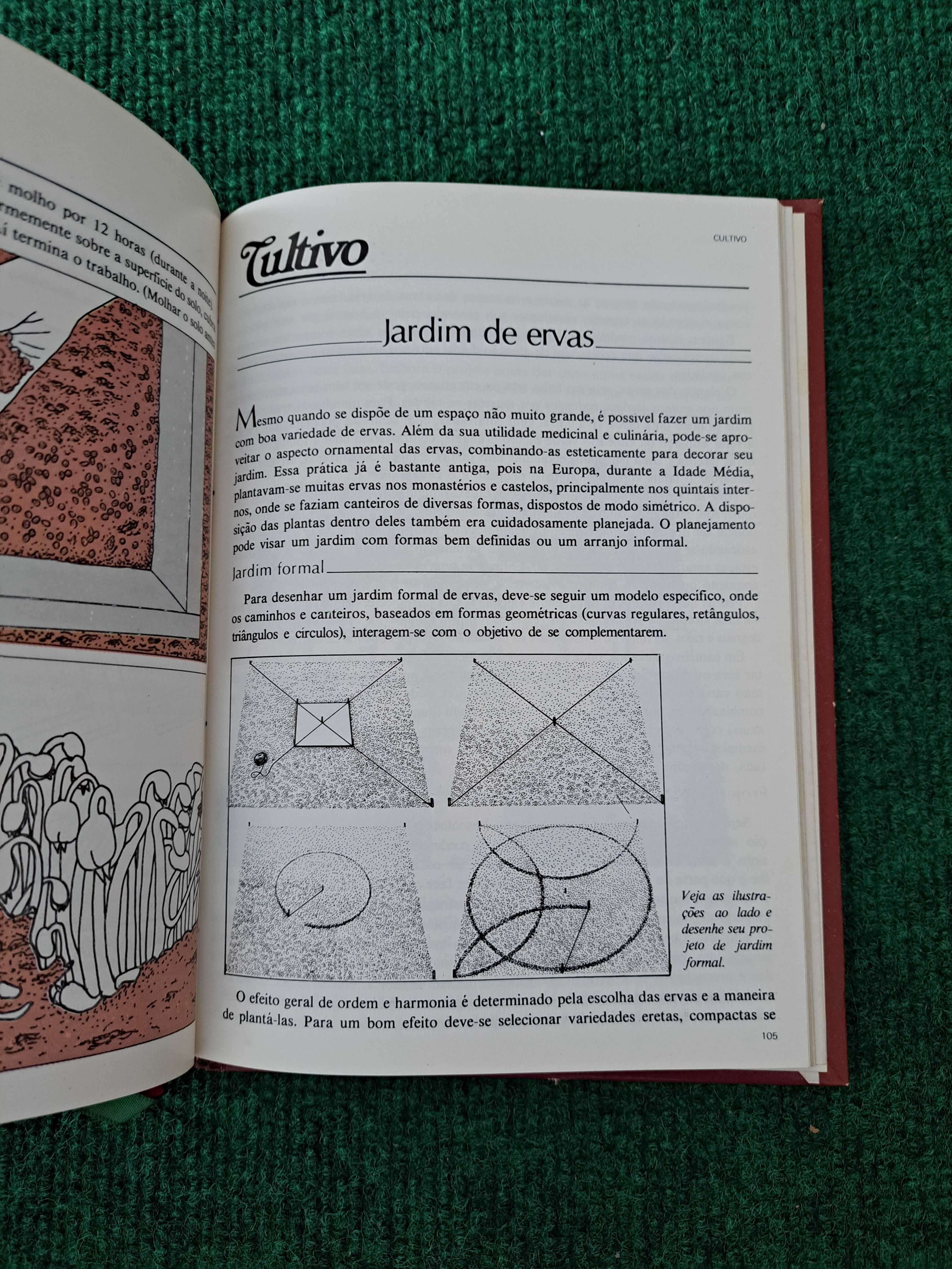 Cultivo - Suplemento de Plantas que Curam