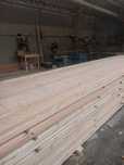 DESKA Tarasowa Modrzew 135x28