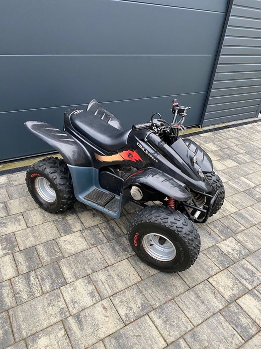 Quad Dinli T-Rex 100cc