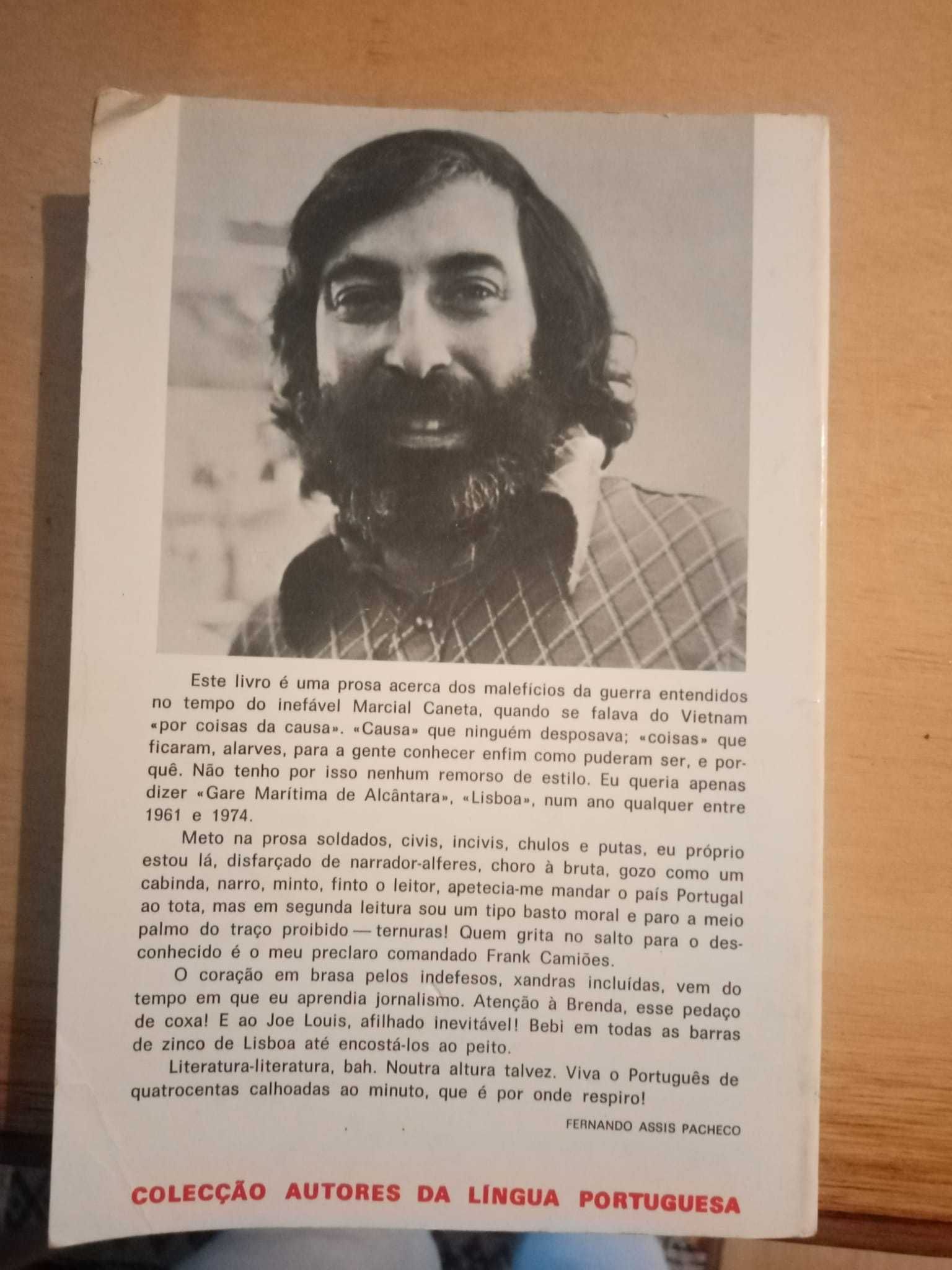 Fernando Assis Pacheco, Walt