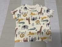 T-shirts bebé vários tamanhos