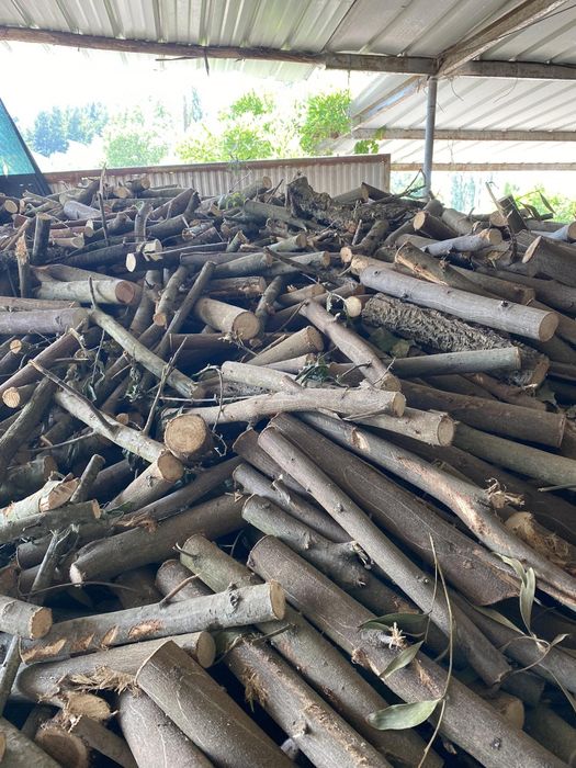 Vende-se lenha roliça