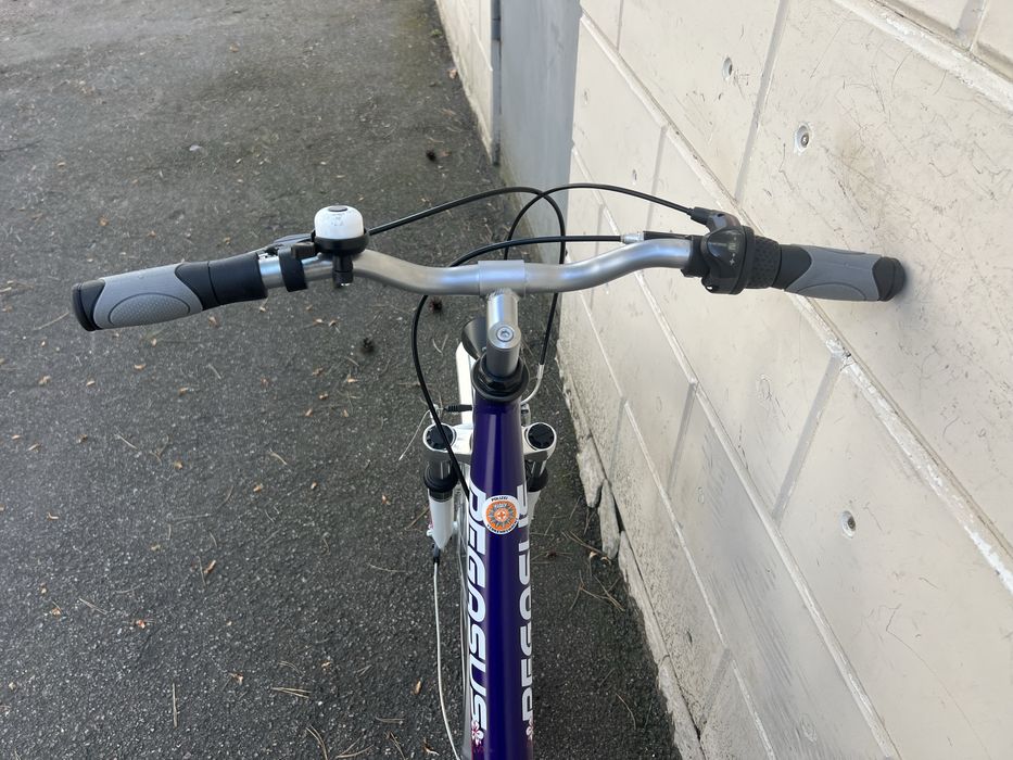 Велосипед Pegasus 26 alu на Nexus 3Німеччина