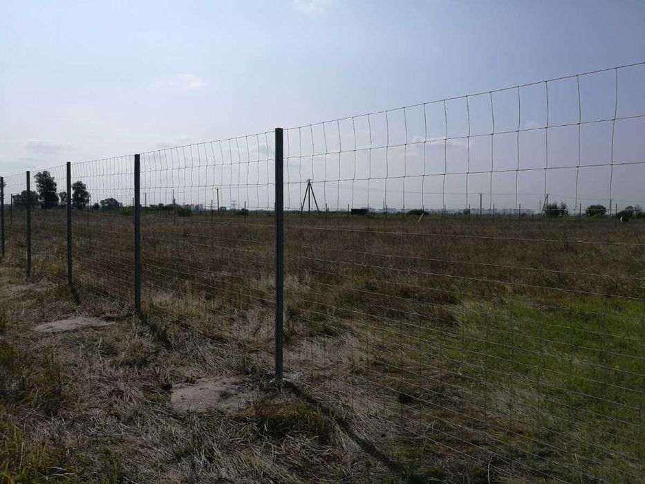 Сітка шарнірна 200/17/30