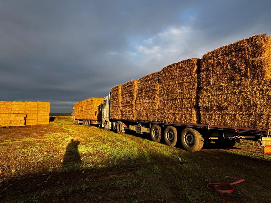 Słoma ze zbioru 2025 z transportem