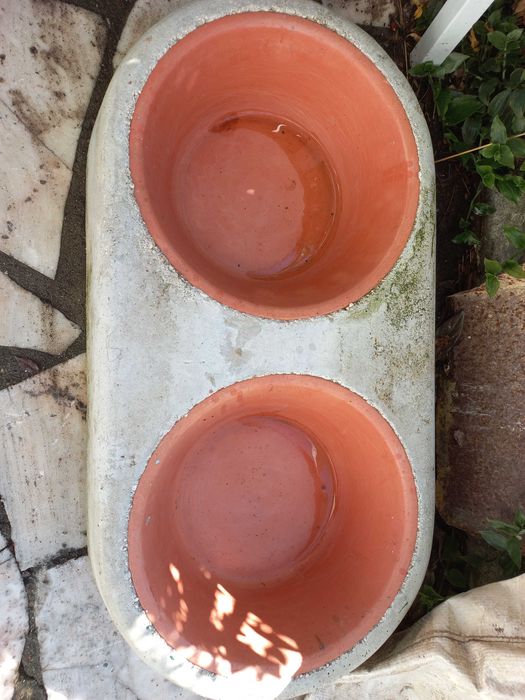 Casota e comedouro para cão