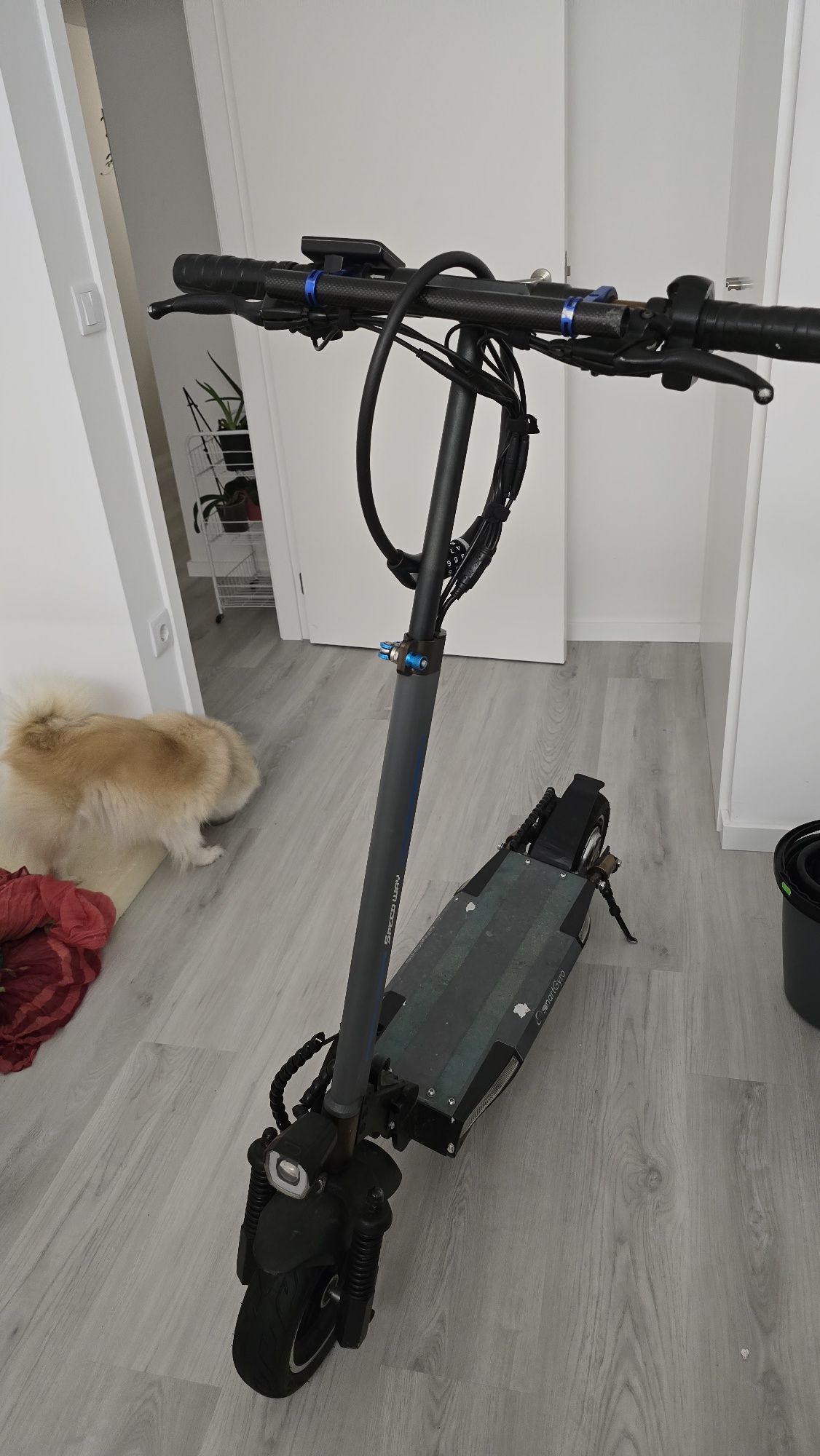 Trotinete Smartgyro Speedway