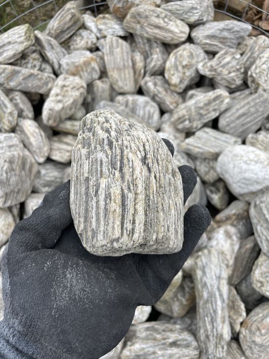ŁUPEK DRZEWIASTY Gnejs Skała do Akwarium Łupek Skała Tanganika Iwagumi