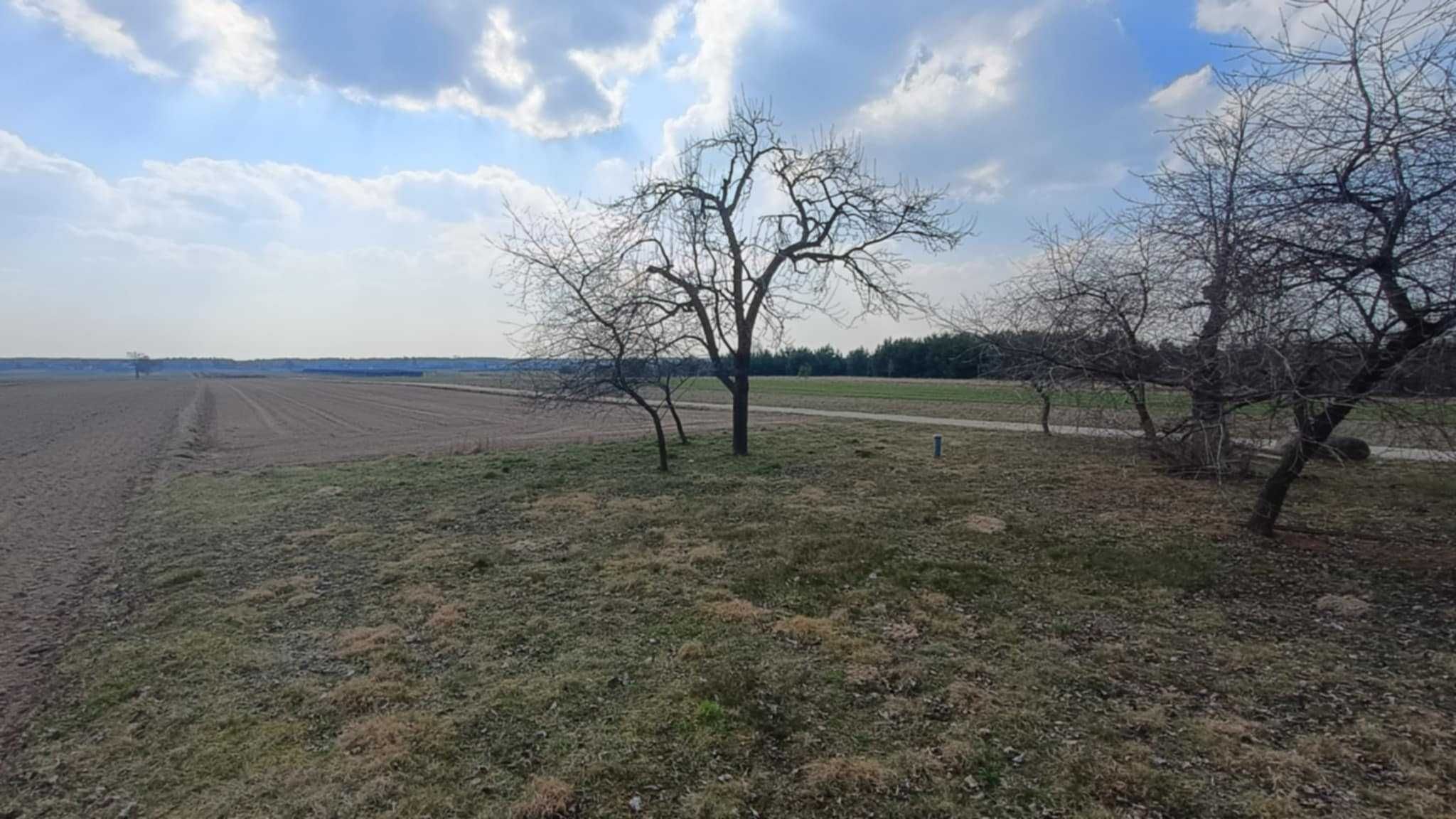 Sprzedam siedlisko  dom z działką 1.6h