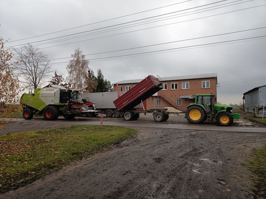 Zbiór kukurydzy na ziarno/skup kukurydzy